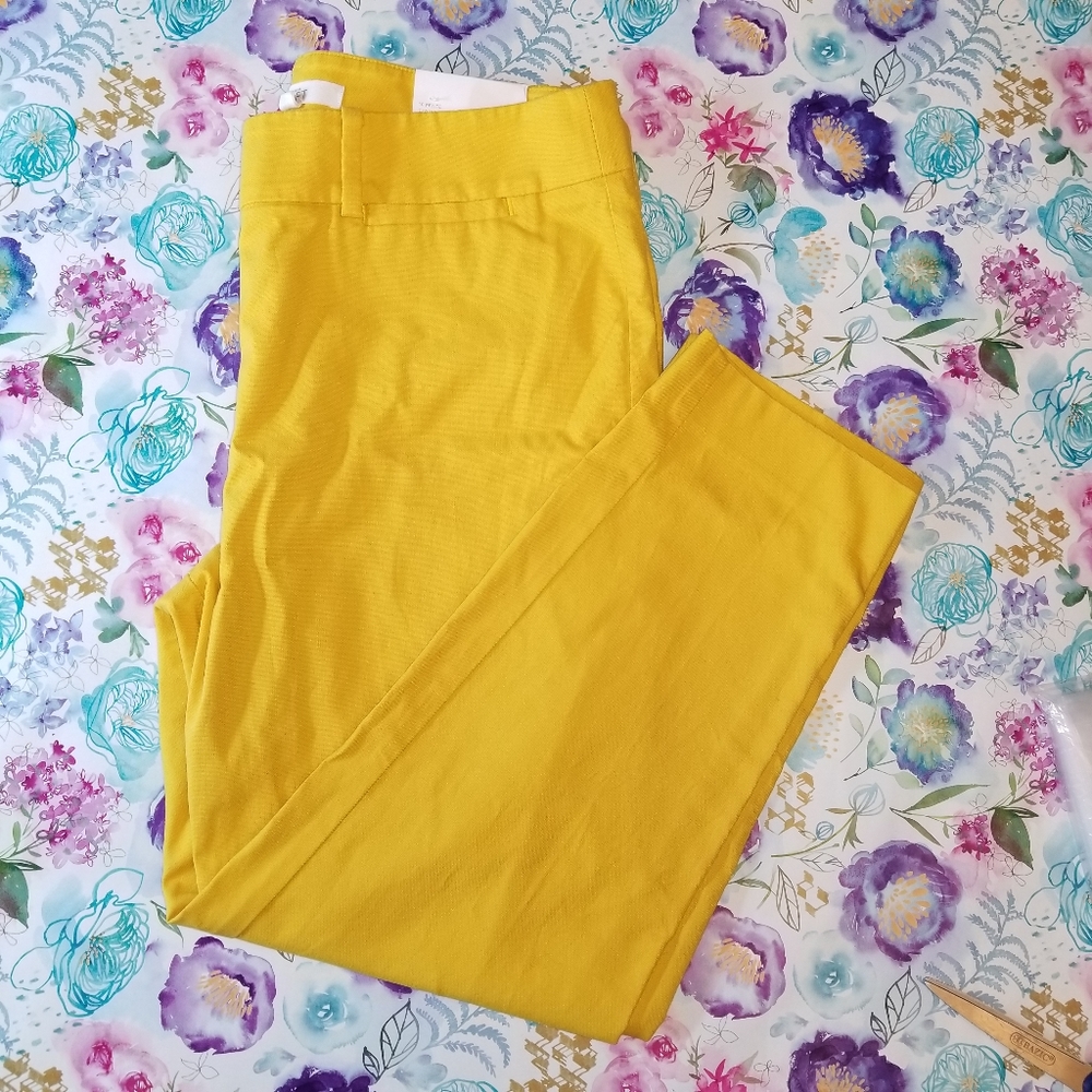 Ann Taylor Loft Size 10 PETITE The Riviera PantCro